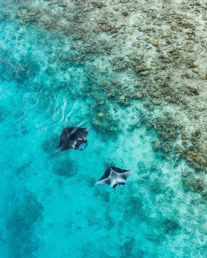 Iru Maldives Hotell Thulusdhoo Exteriör bild
